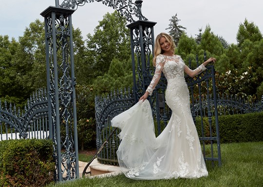 Wedding Bells