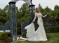 Wedding Bells