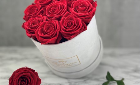 Blossomia AB